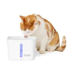 PetSafe 64oz Viva Plastic Dog And Cat Automated Fountain 13 PetSafe 64oz Viva Plastic Dog And Cat Automated Fountain -BlueBuffalo Sales Store GUEST 028ed2c1 f69c 46b7 ba43 d310fd380f08