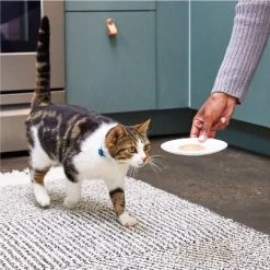 Temptations Creamy Puree With Chicken Lickable Squeezable Adult Cat Treats -BlueBuffalo Sales Store GUEST 02b4da8d e77f 48ec 9070 c1774df783f3