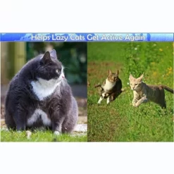 5 Star Super Deals Interactive Cat Treat Puzzle Feeder Toy - Adjustable Slow Food Dispenser With Playful Feline Ball Game & Rattle Ball Wand 12 5 Star Super Deals Interactive Cat Treat Puzzle Feeder Toy - Adjustable Slow Food Dispenser With Playful Feline Ball Game & Rattle Ball Wand -BlueBuffalo Sales Store GUEST 0390929d a3cd 40df a0f1 18e77bc3e23e