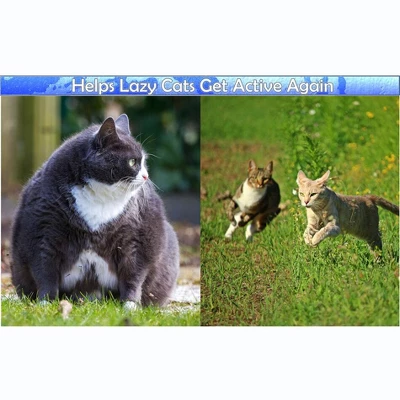 5 Star Super Deals Interactive Cat Treat Puzzle Feeder Toy - Adjustable Slow Food Dispenser With Playful Feline Ball Game & Rattle Ball Wand 6 5 Star Super Deals Interactive Cat Treat Puzzle Feeder Toy - Adjustable Slow Food Dispenser With Playful Feline Ball Game & Rattle Ball Wand - Image 6