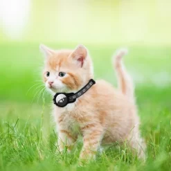 Unique Bargains Cat Collar For Airtag With Bell 1 Pc -BlueBuffalo Sales Store GUEST 03a3c61f c227 4c2a b6a1 e874c2827951