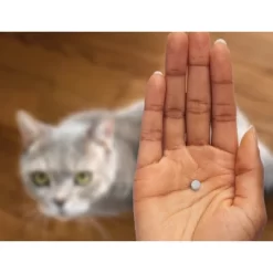 CapAction Flea Treatment For Cats - 2-25lbs -BlueBuffalo Sales Store GUEST 05dfbe0e ef42 4d18 8933 4fb991838d73