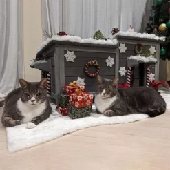 Aivituvin Feral Cat Shelter | Two-Room Outdoor Cat House For Rescued Cats-AIR93