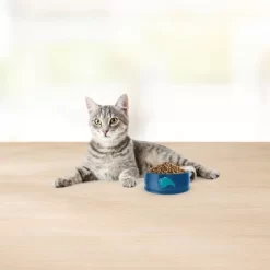 Blue Buffalo Basics Skin & Stomach Care Grain Free Natural Indoor With Duck & Potato Adult Dry Cat Food - 11lbs -BlueBuffalo Sales Store GUEST 0d503303 8d54 427c a795 8d50539188b4 1