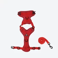 Unique Bargains Cat Harness And Leash With Reflective Strips Large Red 1 Set -BlueBuffalo Sales Store GUEST 0ffb4ed8 07b7 46e1 bcc4 204506e6ca53