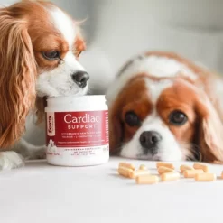 Fera Pet Organics Cardiac Heart Support Powder For Dogs And Cats - Fish Flavor -BlueBuffalo Sales Store GUEST 100bdd81 463e 4761 b930 227e3d8f14e2