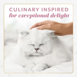 Fancy Feast Gems Seafood, Fish, Salmon Flavor Adult Wet Cat Food - 2oz/2ct 18 Fancy Feast Gems Seafood, Fish, Salmon Flavor Adult Wet Cat Food - 2oz/2ct -BlueBuffalo Sales Store GUEST 1038a624 9715 4acc 926a fea7a99c6435