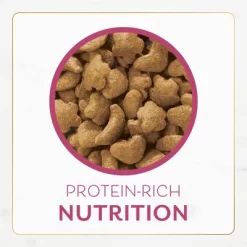 Purina Fancy Feast Filet Mignon With Real Seafood & Shrimp Flavor Dry Cat Food - 3lbs -BlueBuffalo Sales Store GUEST 1069fcba 7b13 4a27 a346 81334b81484c