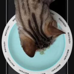 FairyLand™ - Elevated Ceramic Pet Bowl – Black & White Chess Design, Anti-Slip, Ergonomic Raised Feeder (6.9" Wide, 5.2" Tall) 10 FairyLand™ - Elevated Ceramic Pet Bowl – Black & White Chess Design, Anti-Slip, Ergonomic Raised Feeder (6.9" Wide, 5.2" Tall) -BlueBuffalo Sales Store GUEST 12e73b38 ef9b 4a89 91e4 6b978829e25d