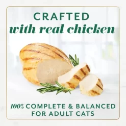 Fancy Feast Gems Chicken Flavor Adult Wet Cat Food - 2oz/2ct -BlueBuffalo Sales Store GUEST 14e20041 1e4a 473a b543 f969d346e455
