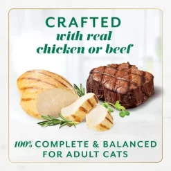 Fancy Feast Gems Chicken And Beef Flavor Wet Cat Food - 2oz/16ct -BlueBuffalo Sales Store GUEST 1558ee22 dc5e 4afb 8393 4baa2c03c90e