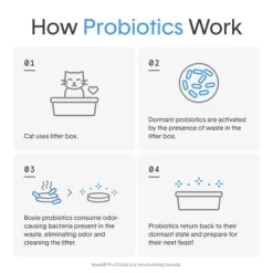 Boxiecat Probiotic 40 Day Odor Control Crystal Cat Litter - 6lbs -BlueBuffalo Sales Store GUEST 160a86e3 a4d9 4c09 9f7a 3232f57193d5