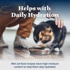 Blue Buffalo Wilderness Wild Delights High Protein Grain Free Natural Adult Flaked Wet Cat Food With Chicken & Turkey - 5.5oz -BlueBuffalo Sales Store GUEST 186a0eb7 b4f6 4412 9eab fccdde9f7b06