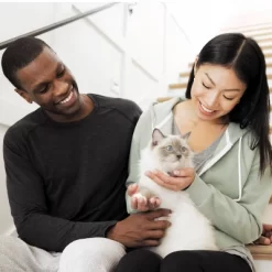 IAMS Advanced Immune Health With Salmon & Chicken Flavor Adult Dry Cat Food - 7lbs -BlueBuffalo Sales Store GUEST 195c191f 1aab 417f bb5c 77a165c2a677 1