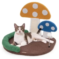 Tangkula Mushroom Cat Bed For Indoor Cats W/ Comfy Napping Bed Sisal Scratching Board 19 Tangkula Mushroom Cat Bed For Indoor Cats W/ Comfy Napping Bed Sisal Scratching Board -BlueBuffalo Sales Store GUEST 199fe135 2f61 4ddb b5b0 564aaa62c9cc