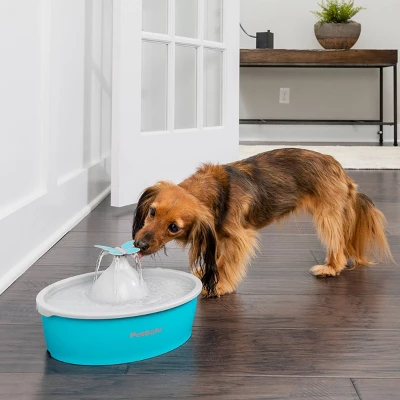 PetSafe Butterfly Fountain - White 4 PetSafe Butterfly Fountain - White - Image 4