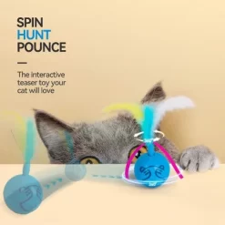 All For Paws Allforpaws Interactive Cat Toy Dizzy Spinner, Blue -BlueBuffalo Sales Store GUEST 1b64a2e2 9f04 41ee 8efe 564738eab6ab