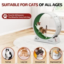 Sandinrayli Cat Wheel For Indoor Cats Exercise Running Wheel Cat Treadmill With Brake & Carpeted Runway -BlueBuffalo Sales Store GUEST 1cfb4c64 abf4 4c29 8a1f fdaab42fdef6