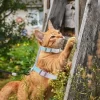 Unique Bargains Escape Proof Cat Harness And Leash Set For Large And Small Cats