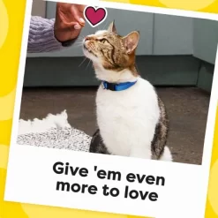 Temptations Jumbo Stuff Tempting Tuna Adult Cat Treats -BlueBuffalo Sales Store GUEST 1e59d61e 06f6 4e83 af44 bf42a9e26e29