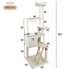 Racxily 165 Cm Wood Cat Tree With Large Condo Wood Ladder And Transparent Spacecraft