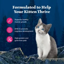 Blue Buffalo Wilderness High Protein Grain Free Natural Kitten Pate Wet Cat Food With Salmon Recipe - 3oz -BlueBuffalo Sales Store GUEST 221d6c74 4986 42f7 ae3a b93b03c50637