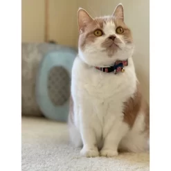 Necoichi Temari Bow Tie Cat Collar -BlueBuffalo Sales Store GUEST 2274883e 8b6f 41fc 8d30 13474b2c0128