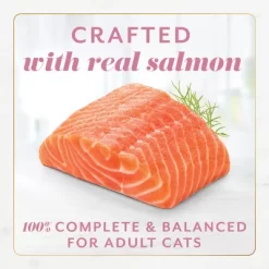 Fancy Feast Gems Seafood, Fish, Salmon Flavor Adult Wet Cat Food - 2oz/2ct 14 Fancy Feast Gems Seafood, Fish, Salmon Flavor Adult Wet Cat Food - 2oz/2ct -BlueBuffalo Sales Store GUEST 25c569ca b4e8 4667 9eb6 2903d6418b84