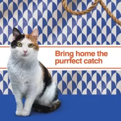 IAMS Proactive Health With Chicken Senior Premium Dry Cat Food -BlueBuffalo Sales Store GUEST 262ab88f e404 4b18 aa4f 18eddc3c8392