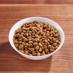 IAMS Proactive Health Indoor Weight And Hairball Care Salmon Adult Dry Cat Food - 7lbs -BlueBuffalo Sales Store GUEST 26d20a13 ca87 43b5 bfc1 f35acc45ae86