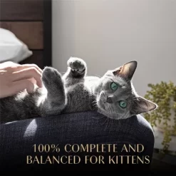 Sheba Perfect Portions Chicken Flavor Soft Pate Kitten Wet Cat Food - 2.64oz -BlueBuffalo Sales Store GUEST 27100624 13bf 4daa 8dad 608ebe918308