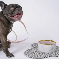 Dexypaws: Marble Dog Bowl: Gray & Gold Accent - 6.3" Diameter -BlueBuffalo Sales Store GUEST 2a99f5c9 96d1 47eb 914d 4a9fcaa4f6f2