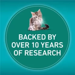 Purina ONE LiveClear Chicken Flavor Kitten Dry Cat Food - 2.8lb -BlueBuffalo Sales Store GUEST 2b159fb8 f19e 49d5 87f2 27f3c30fcfe8