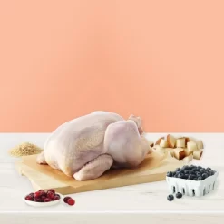 Blue Buffalo True Solutions Fit And Healthy Weight Control Chicken Flavor Adult Dry Cat Food - 11lb -BlueBuffalo Sales Store GUEST 2b22569e a520 4173 bf87 0e4c8b7c8a6e