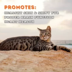 Boat To Bowl Seafood And Salmon Flavor Pate Recipe Wet Cat Food - 3.17oz -BlueBuffalo Sales Store GUEST 2b9ffc51 7c99 45e7 91d0 b34fab8fb44f