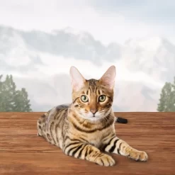 Blue Buffalo Wilderness Grain Free Chicken Flavor Crunchy Cat Treats 9 Blue Buffalo Wilderness Grain Free Chicken Flavor Crunchy Cat Treats -BlueBuffalo Sales Store GUEST 2c53af23 9173 4e3c 820e 15eb5fc086d3