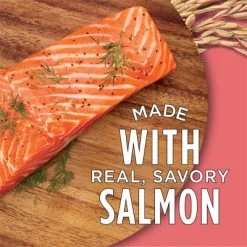 Purina Cat Chow Complete Fish, Seafood And Salmon Flavor Dry Cat Food - 3.15lbs -BlueBuffalo Sales Store GUEST 2ee296b5 7984 4fc9 92cd 2280346623cf