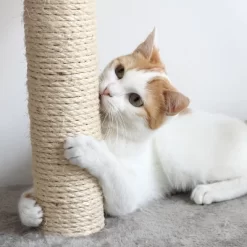 Pet Adobe Multilevel Cat Tree House Tower And Scratching Posts - Beige -BlueBuffalo Sales Store GUEST 336cdfd8 059d 42c2 acb8 6f8a7d8e0346