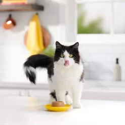 Meow Mix Surf N Turf Tuna Salmon And Chicken Flavor Wet Cat Food - 33oz 9 Meow Mix Surf N Turf Tuna Salmon And Chicken Flavor Wet Cat Food - 33oz -BlueBuffalo Sales Store GUEST 345c829b 6605 4950 a323 ff3470d2f770