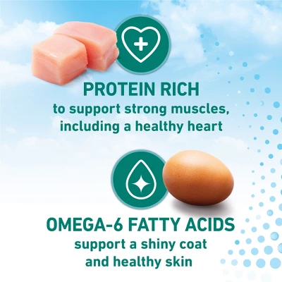 Purina ONE LiveClear Chicken Flavor Adult Dry Cat Food - 3lbs 7 Purina ONE LiveClear Chicken Flavor Adult Dry Cat Food - 3lbs - Image 7