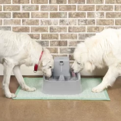 PetSafe Drinkwell Pet Fountain - Gray -BlueBuffalo Sales Store GUEST 381e3863 71b6 466e bf6b 3329847561ab