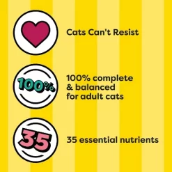 Temptations Dry Cat Food Block Part With Cheese, Beef And Chicken Flavor - 6.3lbs -BlueBuffalo Sales Store GUEST 38217265 12ec 4378 9bcb a6f9883d29cd