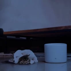 Instachew Pureflow Automated Pet Fountain -BlueBuffalo Sales Store GUEST 39ecb1cd ce2c 4ccb bc58 bc24763347f8