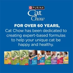 Purina Cat Chow Complete Fish, Seafood And Salmon Flavor Dry Cat Food - 3.15lbs -BlueBuffalo Sales Store GUEST 3b0988d7 86bb 41b5 8c69 999c7dfdbe6f
