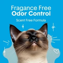 Boxiecat Unscented 30 Day Odor Control Clumping Clay Cat Litter -BlueBuffalo Sales Store GUEST 3cc3688e 558a 478f a239 9ec30a5d143e