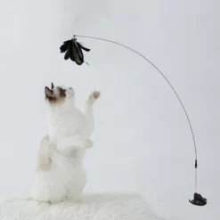 Unique Bargains Handheld Cat Teaser With Bell Fluffy Plume Teasing Sticks Black Brown -BlueBuffalo Sales Store GUEST 3d20159b 50c6 444b bfef f49944779fe1