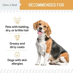 Chew + Heal Wild-Caught Omega Skin + Coat Softgels Made With Wild-Caught Fish Oil Supplement For Dogs & Cats, 180 Count -BlueBuffalo Sales Store GUEST 3f80d2e7 38da 41fa b771 75245d14d2fd