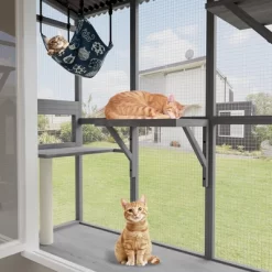 Gulches 61in H X 48in W X 24in D SkyWindow Cat Catio Gray 1 Pack Multi Cat Livestock Supplies Product Type -BlueBuffalo Sales Store GUEST 40881451 3cb5 49b6 ade4 6f96a54ae758