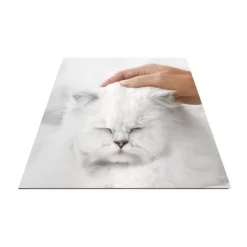 Fancy Feast Gems Tuna Flavor Adult Wet Cat Food - 2oz/2ct 27 Fancy Feast Gems Tuna Flavor Adult Wet Cat Food - 2oz/2ct -BlueBuffalo Sales Store GUEST 40bb4f00 6a36 48d1 984e 410b8d41f19b