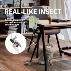 All For Paws Allforpaws Interactives Cat Toy, Cat Yoyo Bug -BlueBuffalo Sales Store GUEST 42649d41 9209 44d4 8511 35edc319bd68